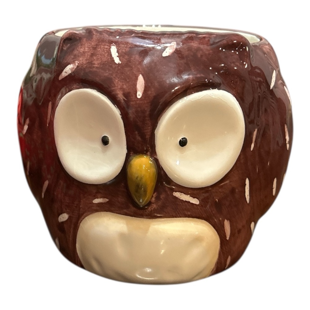 Pier 1 One Imports Brown Spotted Owl Hand Painted Earthenware Mug Cup Read Info.